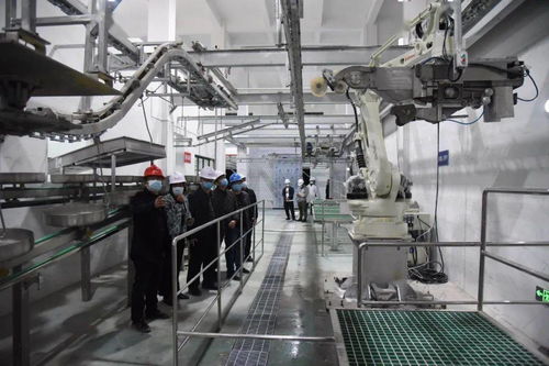 恩平市新肉聯廠今日凌晨正式試投產