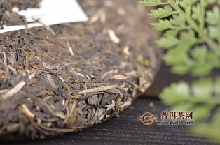 石雨益昌號(hào)滑竹梁子 總有一種西雙版納巔峰的味道讓你無(wú)法忘懷 產(chǎn)品新聞,普洱茶產(chǎn)品新聞,新品上市新聞 普洱茶網(wǎng)