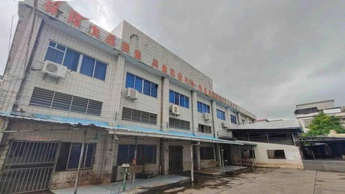 我為群眾辦實事 恩平昌聯茶葉助力群眾幸福感持續提升